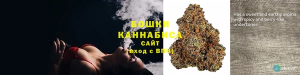 твердый Медногорск