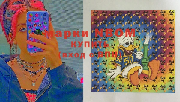 твердый Медногорск